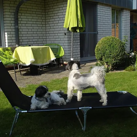Ebenerdige Ferienwohnung Witt Hus *